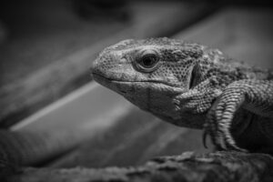 前屈を柔らかくする方法とは？