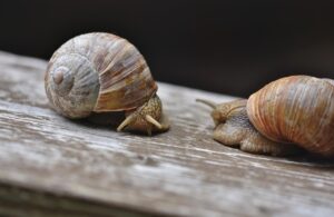 60代が足腰を鍛えるための効果的なエクササイズは？