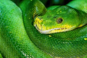 ウォーキングと筋トレの効果を比較するとどちらが優れているの？
