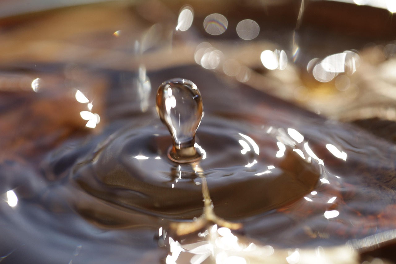 シニアのための筋力低下対策にはどんな方法がある？