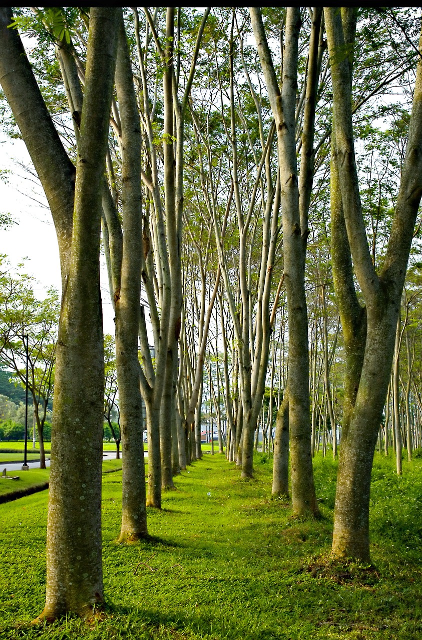 老化を遅らせるために効果的な運動は？